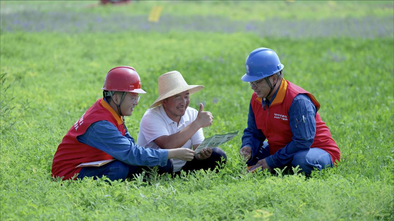国网定西供电公司：护航药乡用电 赋能产业发展