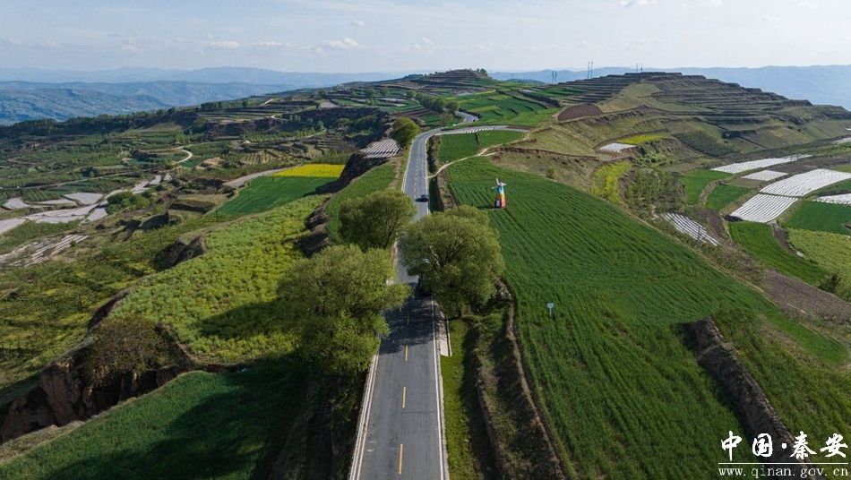 繁花迎客 文旅惠民 秦安县推出“五一”假期暨牡丹文旅周系列活动