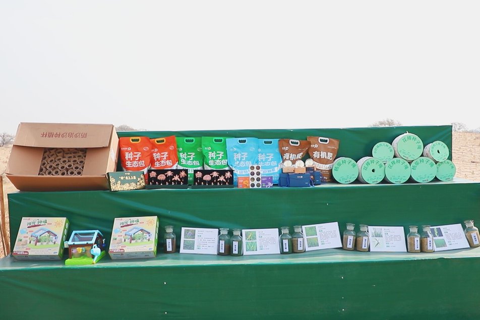 把种子“编”进绳子里 用科技给科尔沁沙地“穿绿衣”