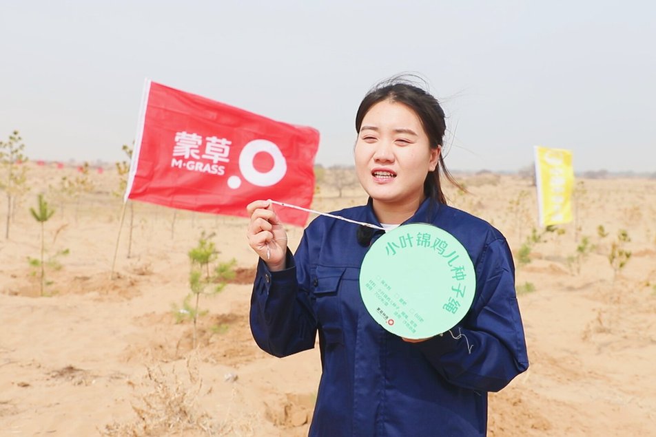 把种子“编”进绳子里 用科技给科尔沁沙地“穿绿衣”