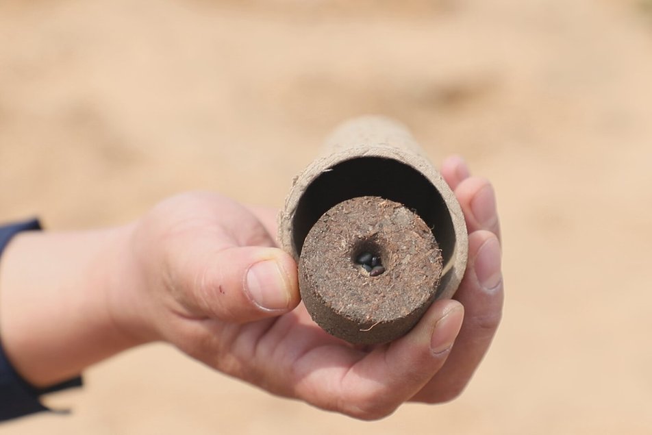 把种子“编”进绳子里 用科技给科尔沁沙地“穿绿衣”