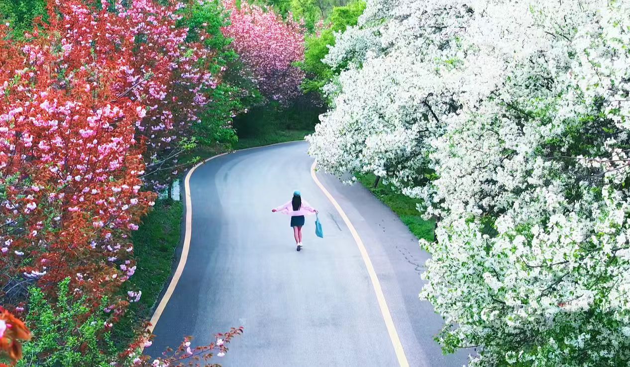 铜川五一“宠客”模式已开启：国潮武林大会、沉浸式演艺、真金白银惠民礼包