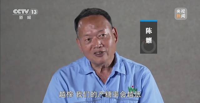 广东化州糖厂厂长火出圈，他的善举让滞销甘蔗变“暖心蔗”