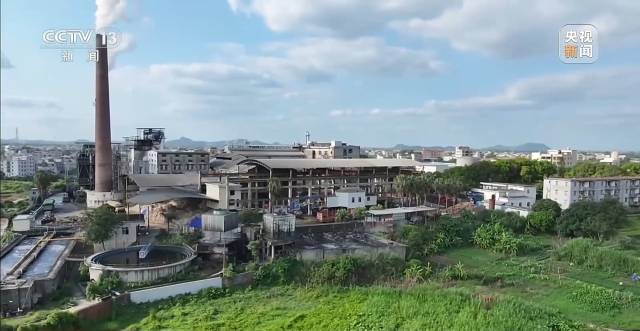广东化州糖厂厂长火出圈，他的善举让滞销甘蔗变“暖心蔗”