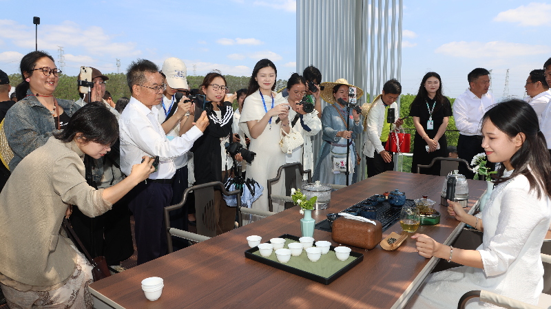 广西横州市茉莉开采季启幕