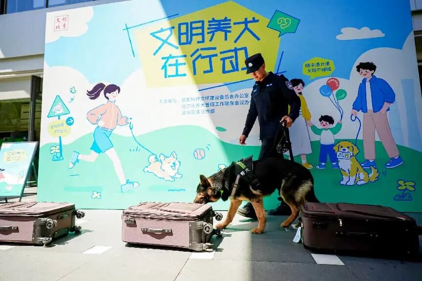 打卡商圈新场景！这场文明养犬活动干货满满又好玩