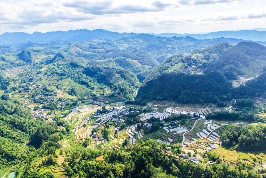 重庆黔江：“文物梯田”变身“生态粮仓”