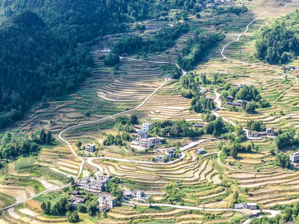 重庆黔江：“文物梯田”变身“生态粮仓”