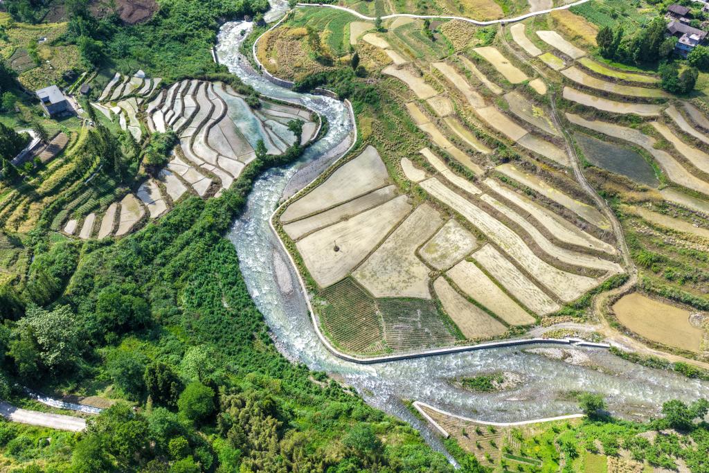 重庆黔江：“文物梯田”变身“生态粮仓”