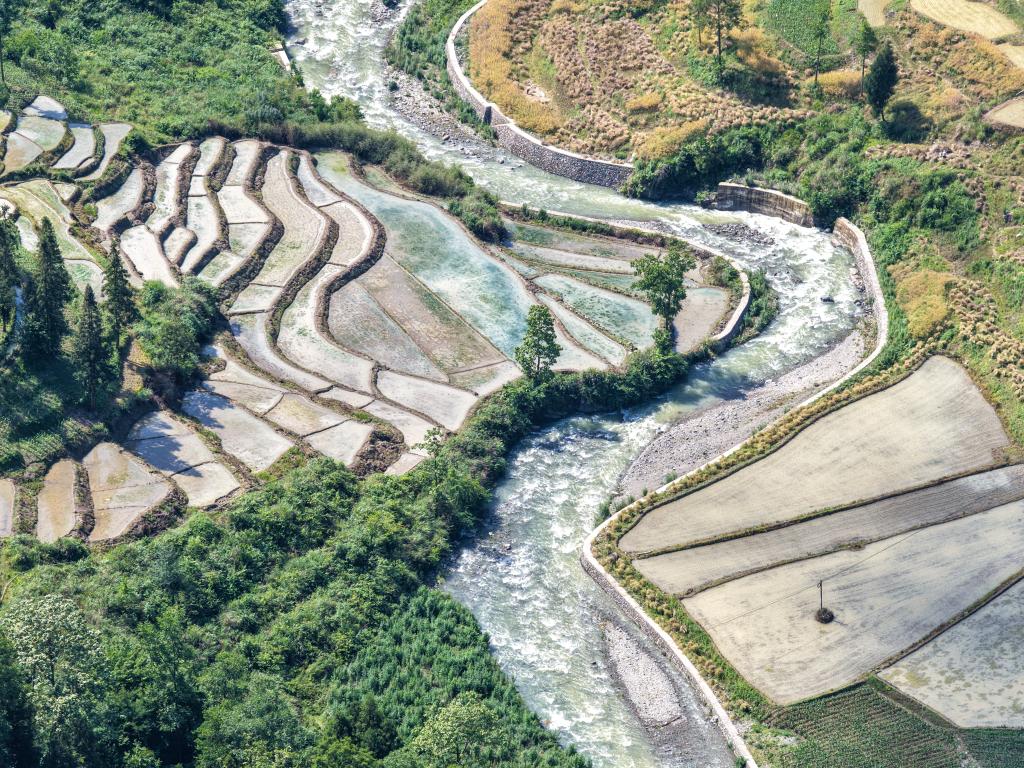 重庆黔江：“文物梯田”变身“生态粮仓”
