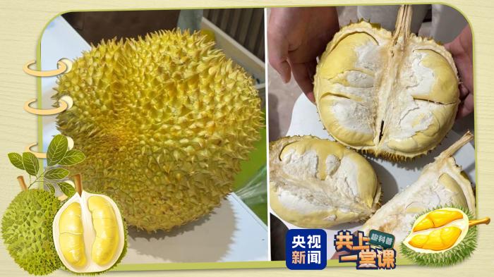 近期可能还要降价!关于榴莲的最新消费提示