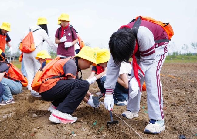北京朝阳：金盏“小田长”开启贯穿三季的农耕之旅