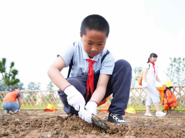 北京朝阳：金盏“小田长”开启贯穿三季的农耕之旅