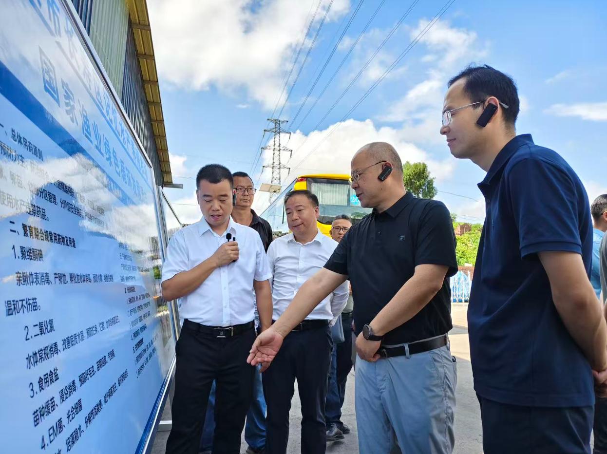 重庆部署水产养殖滥用药专项整治