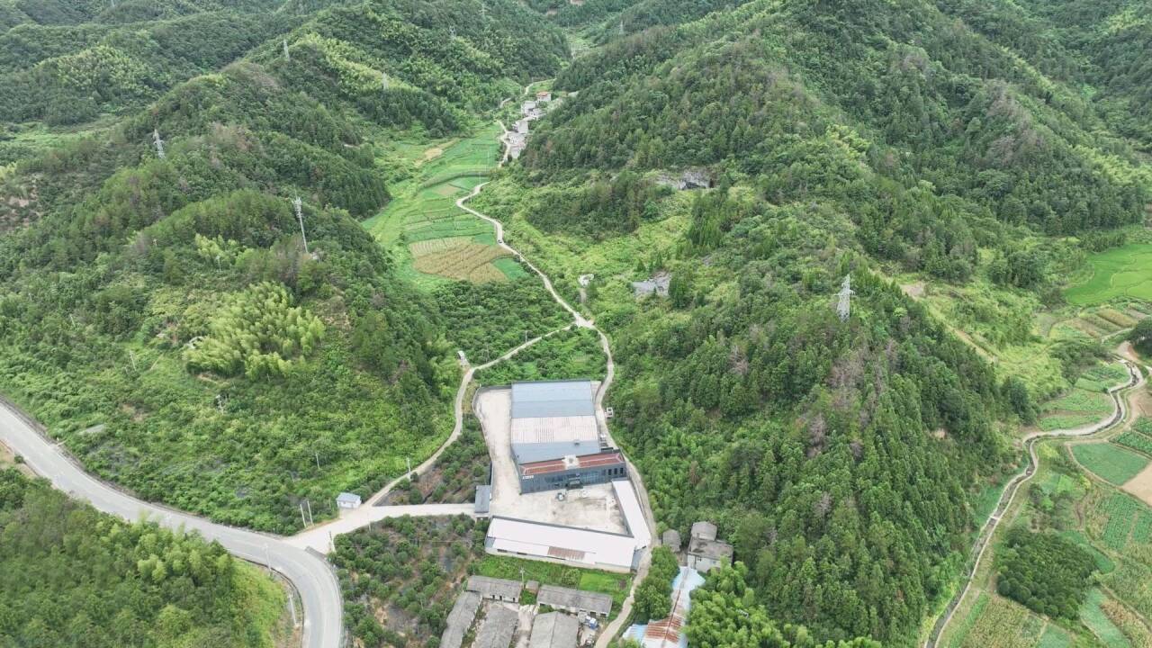 链动新动能，三年倍增提速！咸宁食品饮料产业全力冲刺千亿产业集群