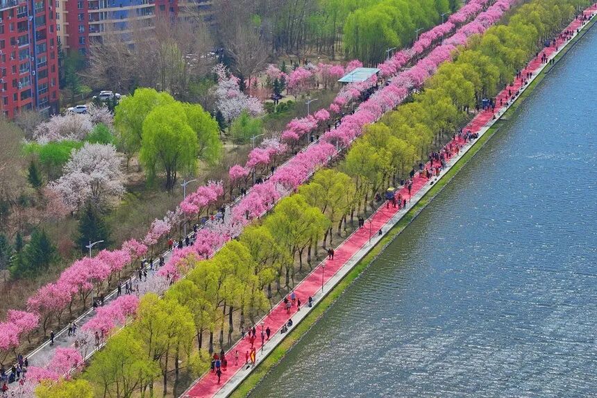 2026洱海论坛丨风从“海”上来,吹向十座城:美丽中国到底长什么样?