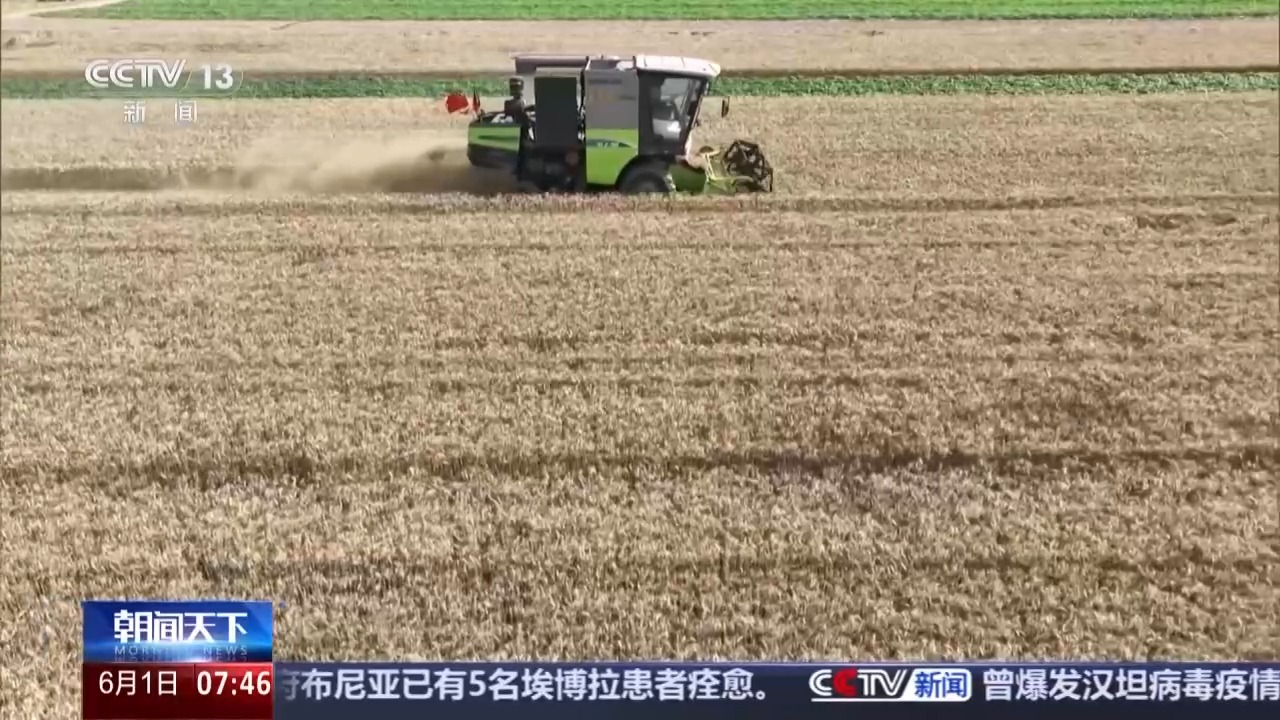 三夏“麦收地图”更新 全国已收小麦7613万亩