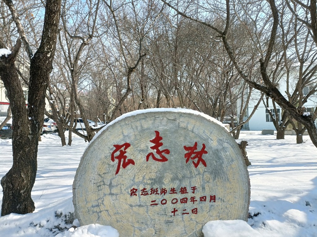 一场跨越25年时光的追寻