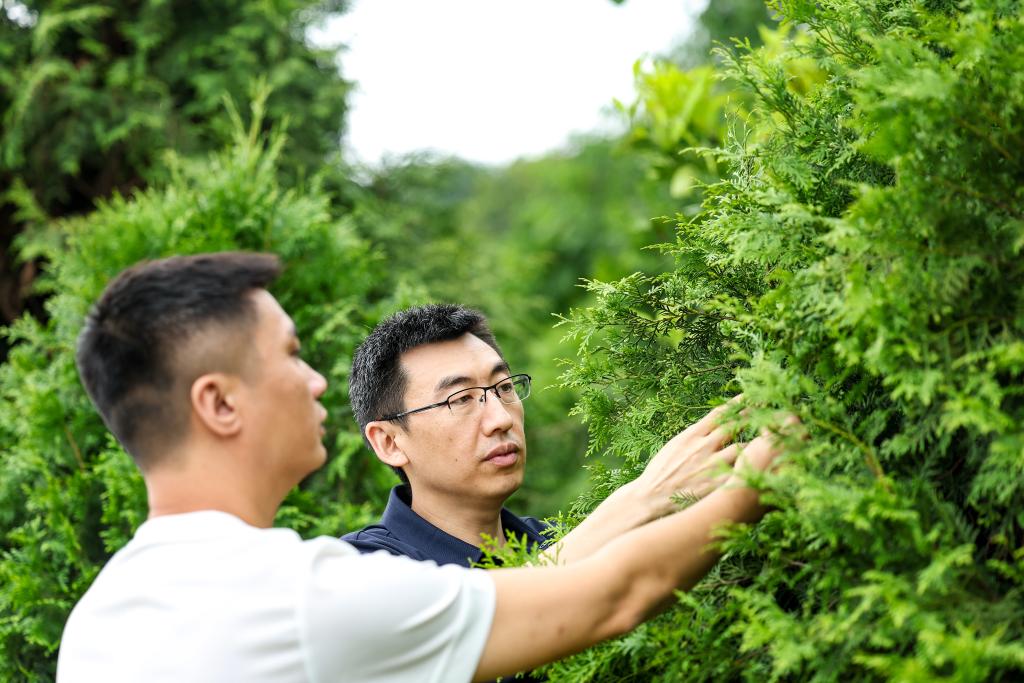 扎根深山——守护三峡珍稀生态本底