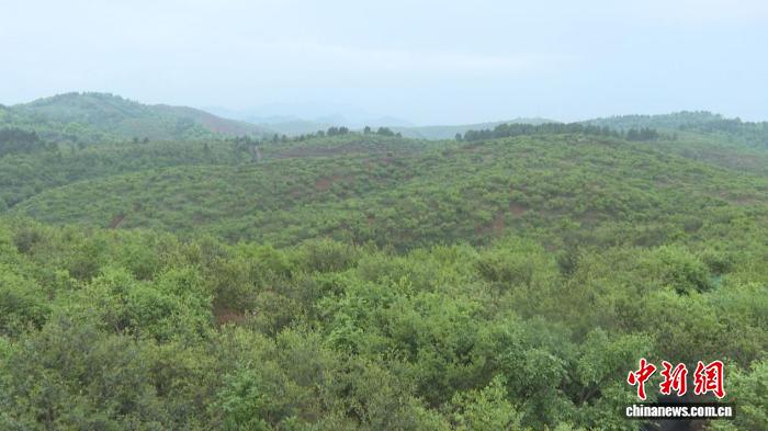 湖南祁阳蝶变:文脉、纺织、油茶三重突围重塑经济格局