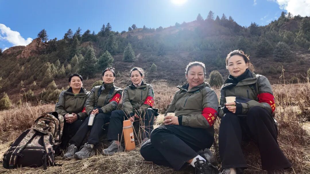 生命树·看见守护的答案