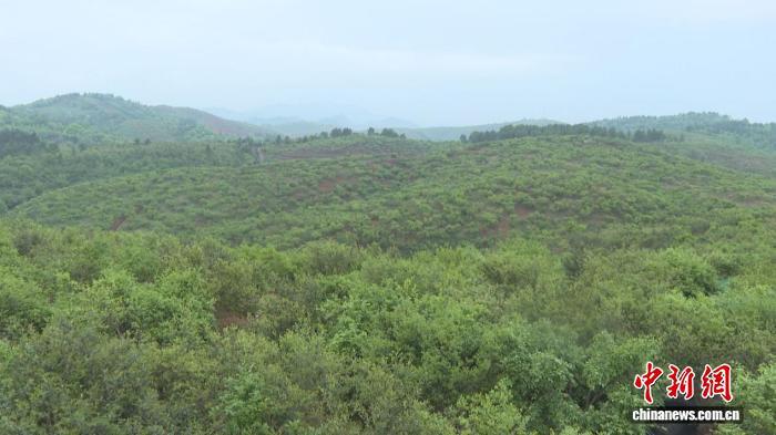 湖南祁阳蝶变:文脉、纺织、油茶三重突围重塑经济格局