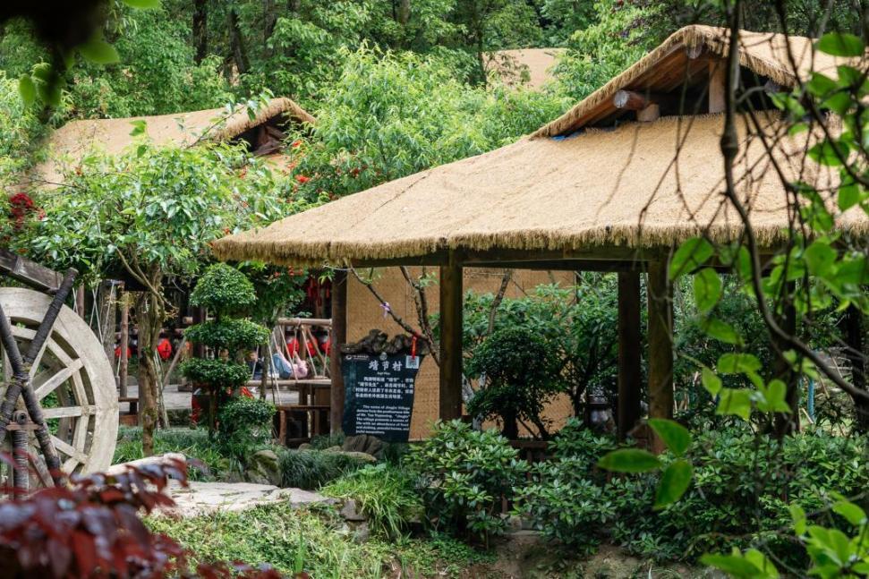 准考证变“免费通行证” 重庆酉阳发布毕业季专属旅游福利