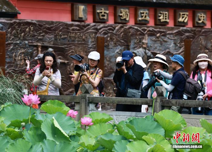 成都望丛祠荷花绽放迎客来
