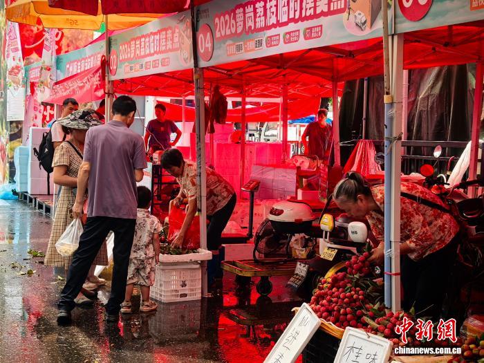 广州近600年历史的荔枝市场开市