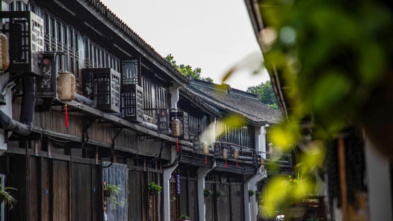 沪派江南 千年古镇 上海市奉贤区庄行镇奏响乡村振兴高质量发展新篇章 沪派江南 千年古镇 上海市奉贤区庄行镇奏响乡村振兴高质量发展新篇章