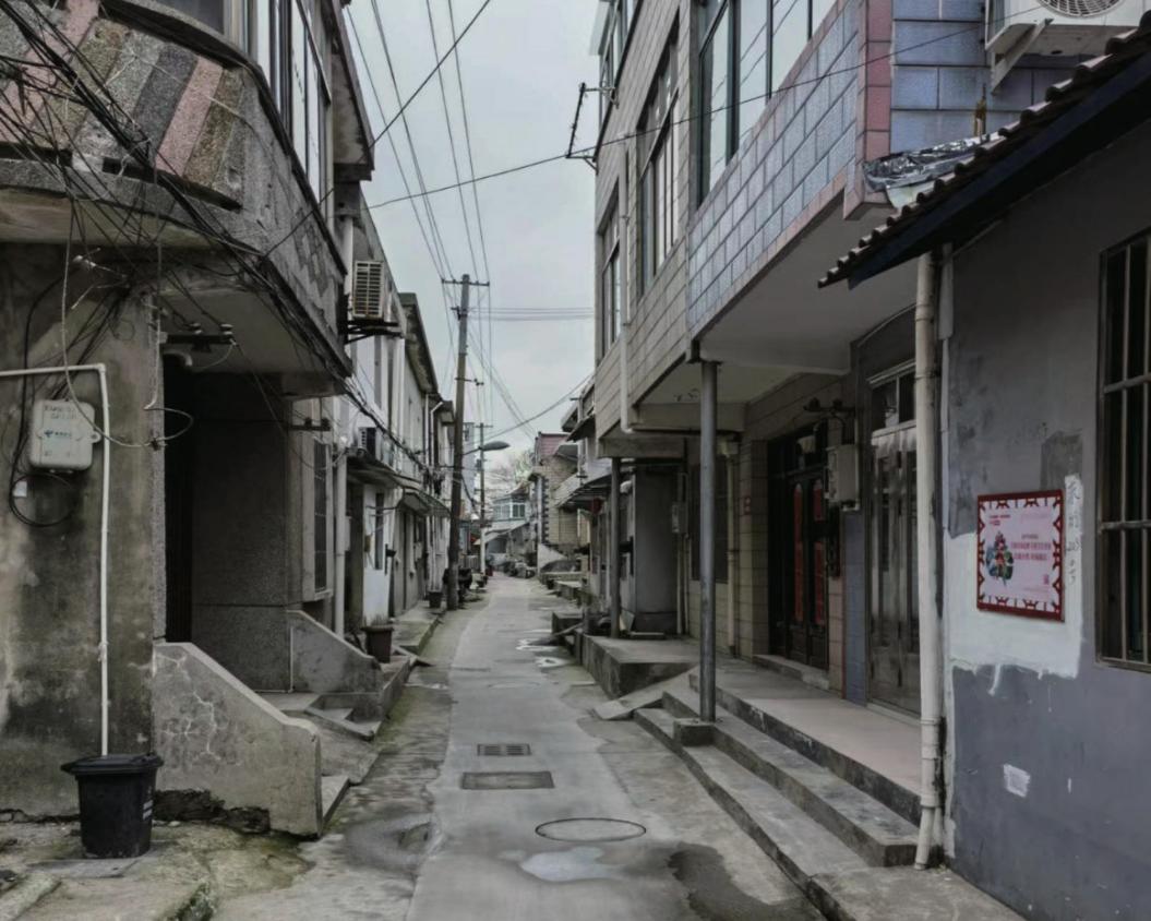 沪派江南 千年古镇 上海市奉贤区庄行镇奏响乡村振兴高质量发展新篇章 沪派江南 千年古镇 上海市奉贤区庄行镇奏响乡村振兴高质量发展新篇章