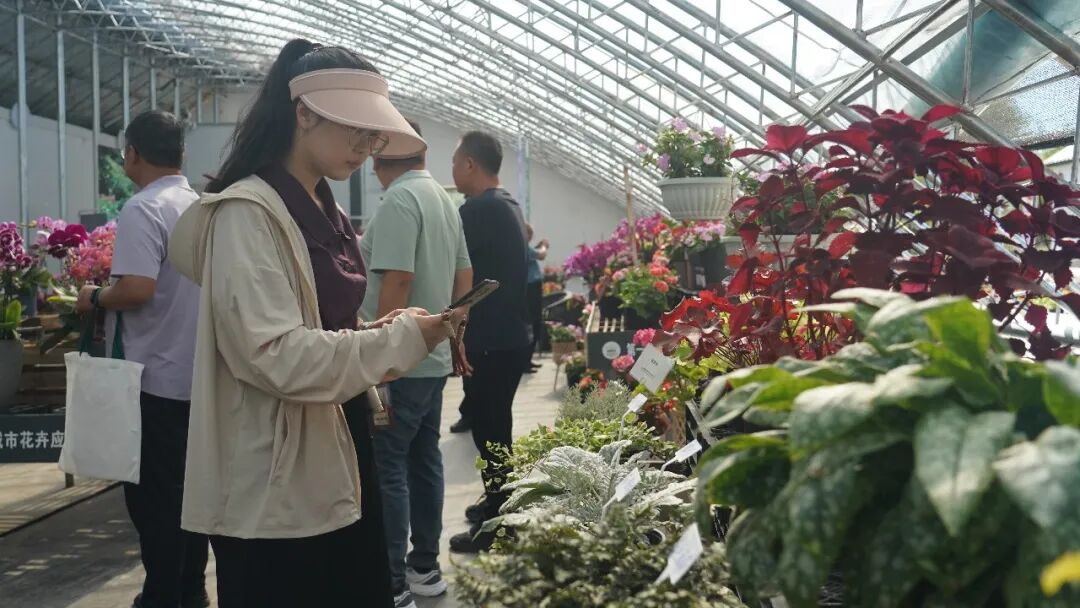 以花为媒赋能城市发展 以绿兴业绘就边城新颜 ——第一届新疆·裕民城市花卉应用展览会顺利举办
