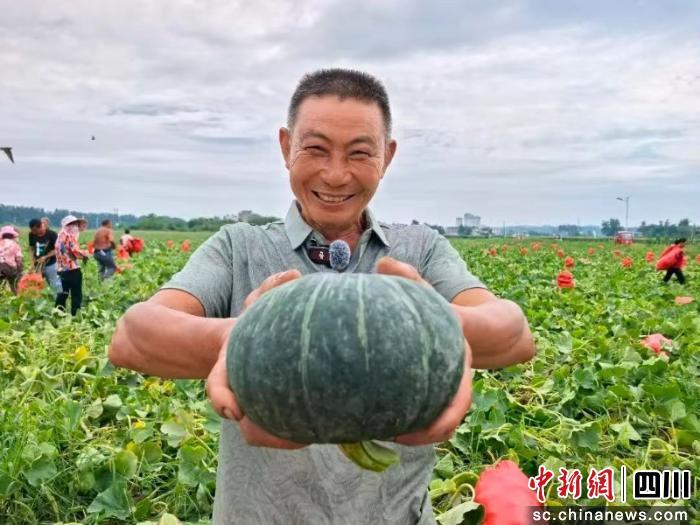 简阳：一街道荣获双“国字号” 解锁特色农产品出圈密码