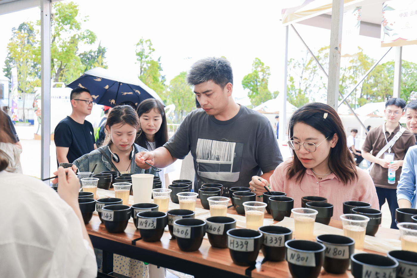 云南咖啡生豆实现卓越杯赛事“卓越级”突破