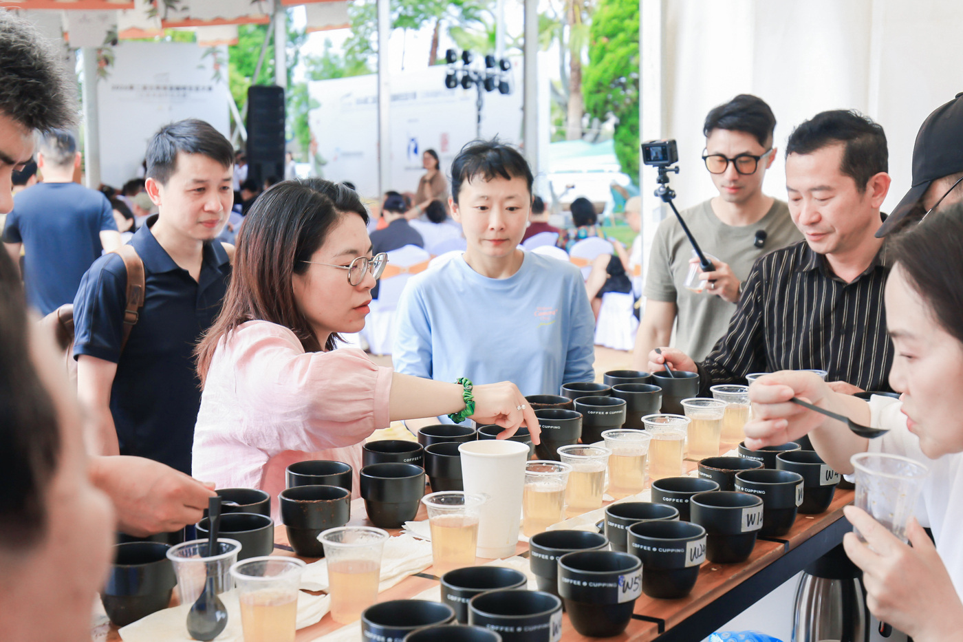 云南咖啡生豆实现卓越杯赛事“卓越级”突破