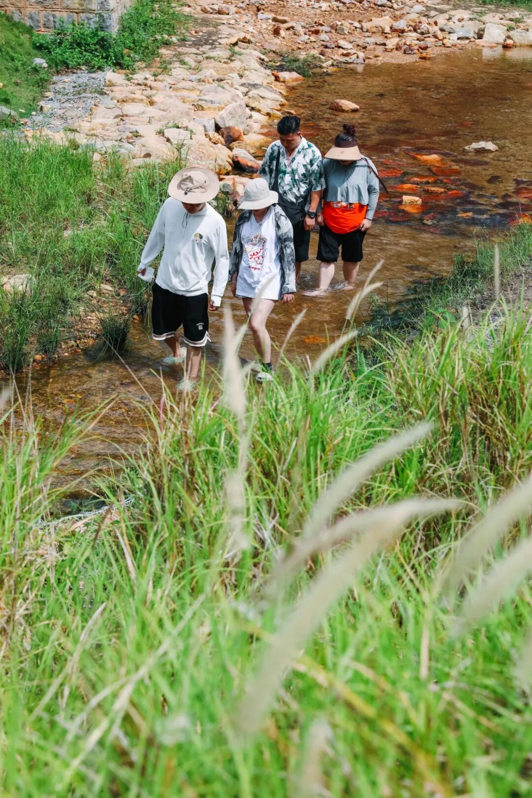 凉意扑面而来!坪山夏日溯溪好去处|坪山仲夏夜