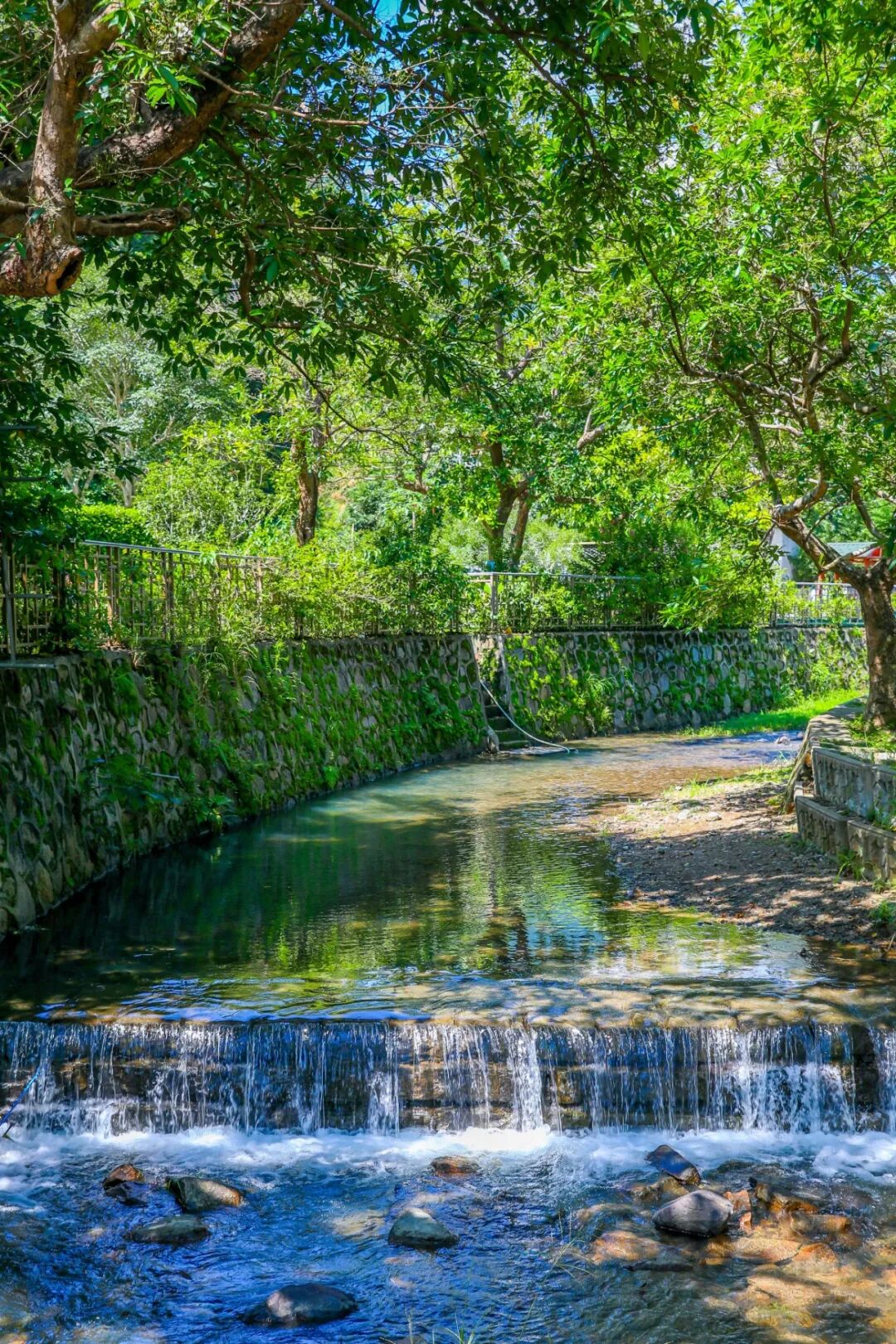 凉意扑面而来!坪山夏日溯溪好去处|坪山仲夏夜