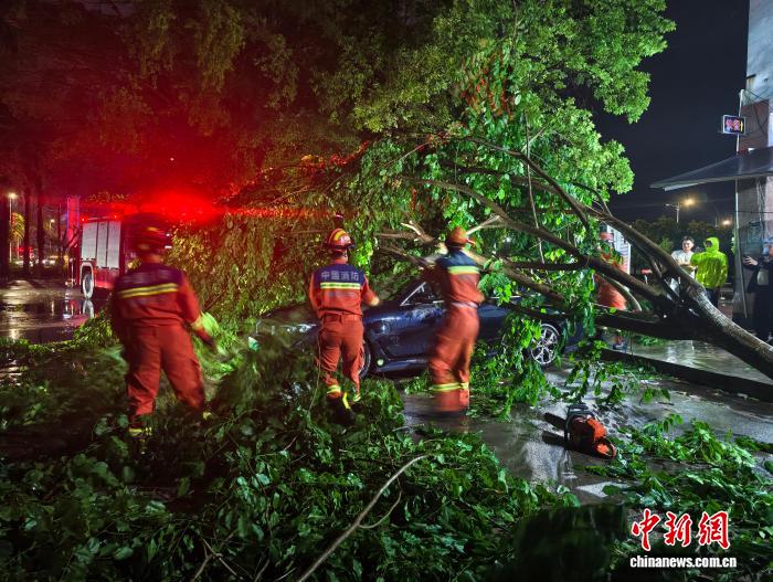 台风“美莎克”海南多地发威 消防紧急排险