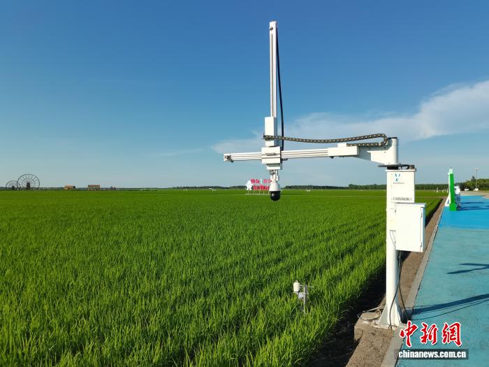 从“看天”到“看屏” “北大仓”建三江智慧农业冲刺“二十三连丰”