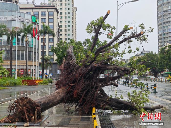 台风“美莎克”影响三亚:树木倒伏,路面积水