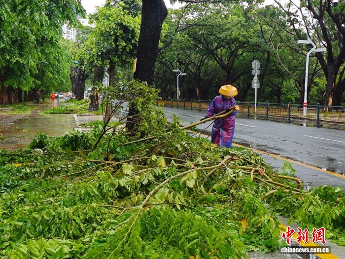 台风“美莎克”影响三亚:树木倒伏,路面积水
