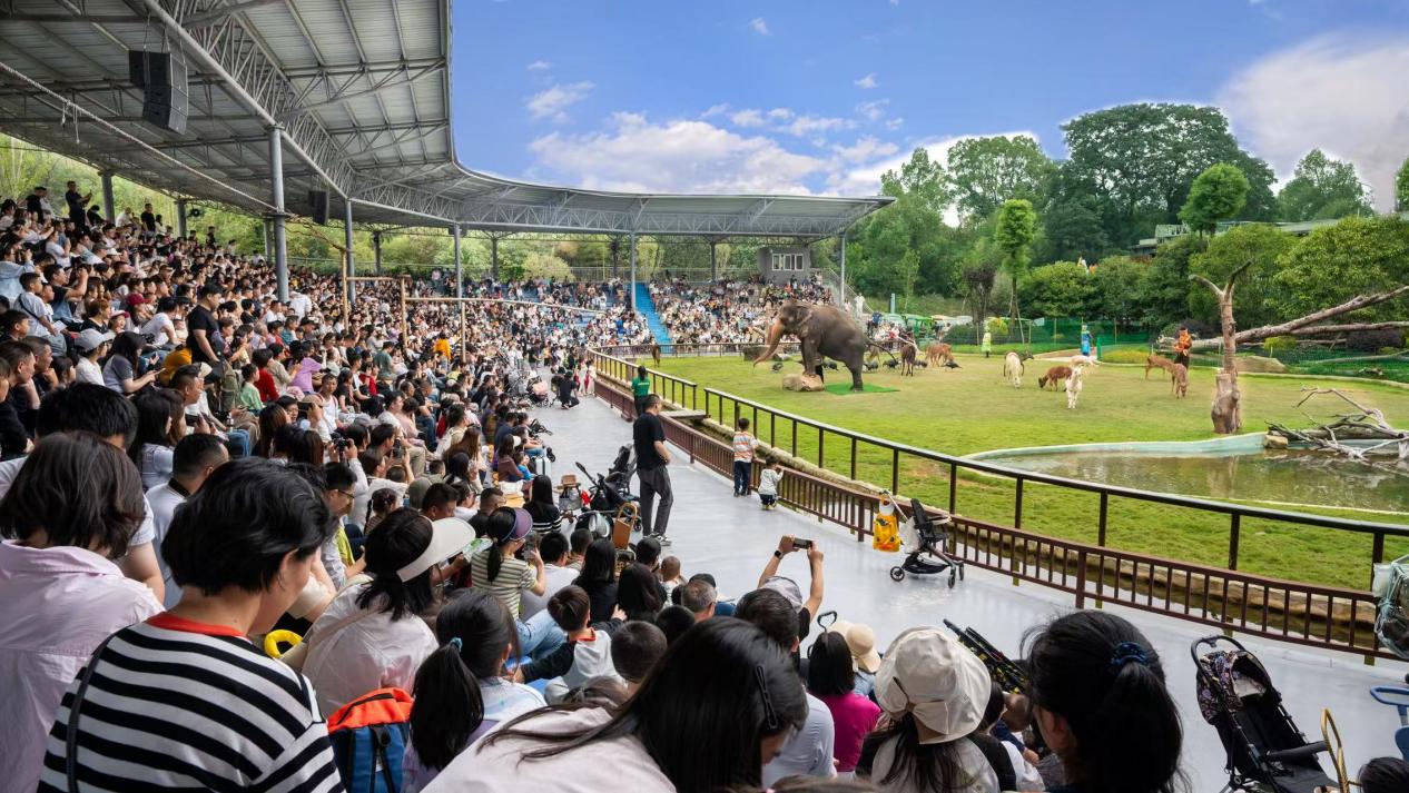 湖南常德赴重庆开展文旅推介 同步发布川渝游客一年期惠民票务政策