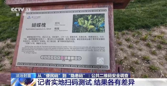 公共二维码变涉黄码、诈骗码 该如何防范和管理