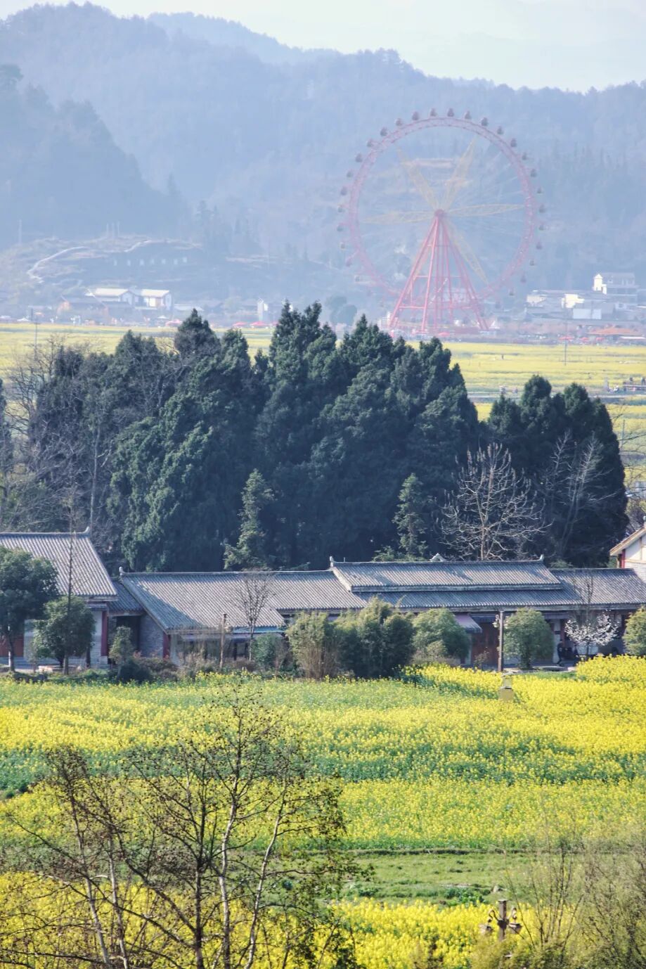 取景地推介丨从秘境苗寨到现代都市,跟着《小芳》打卡贵州 IMG_0368.JPG