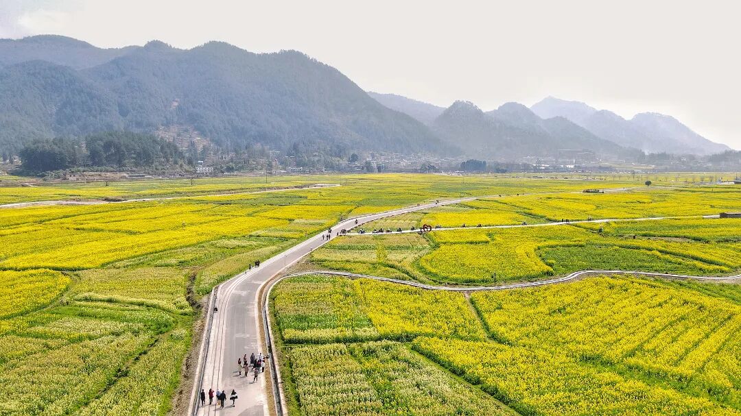 取景地推介丨从秘境苗寨到现代都市,跟着《小芳》打卡贵州