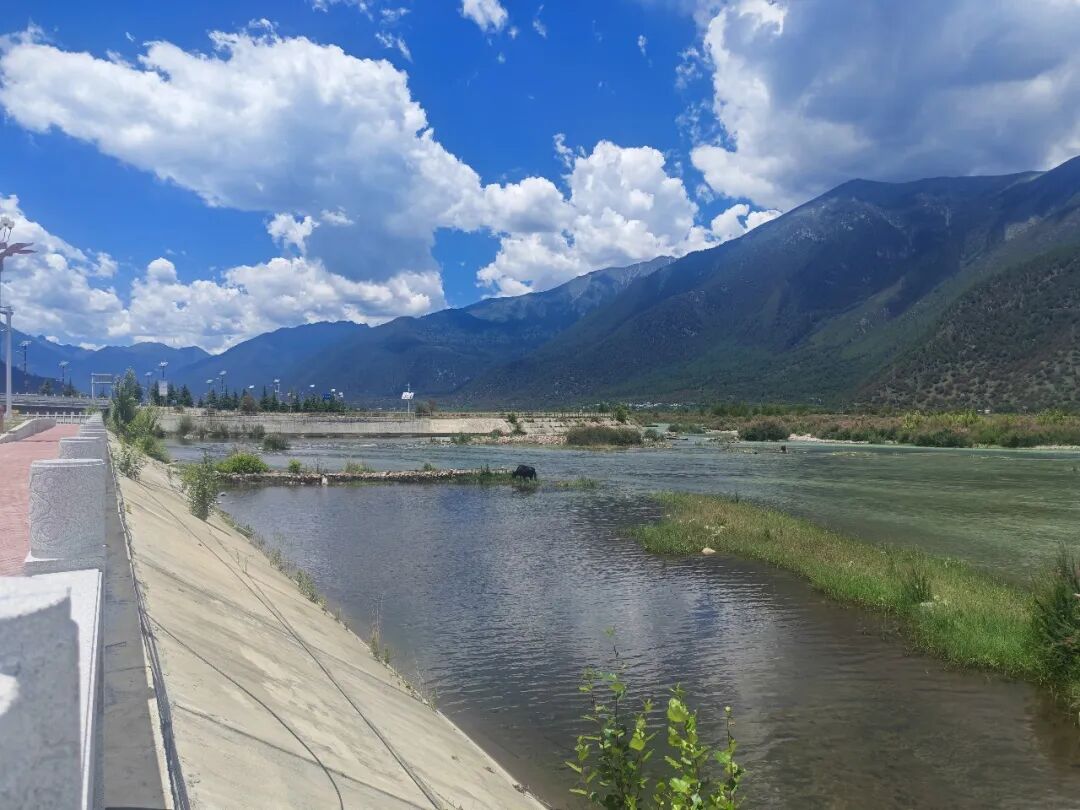 林芝市水利局多措并举扎实筑牢主汛期水旱灾害防御安全屏障