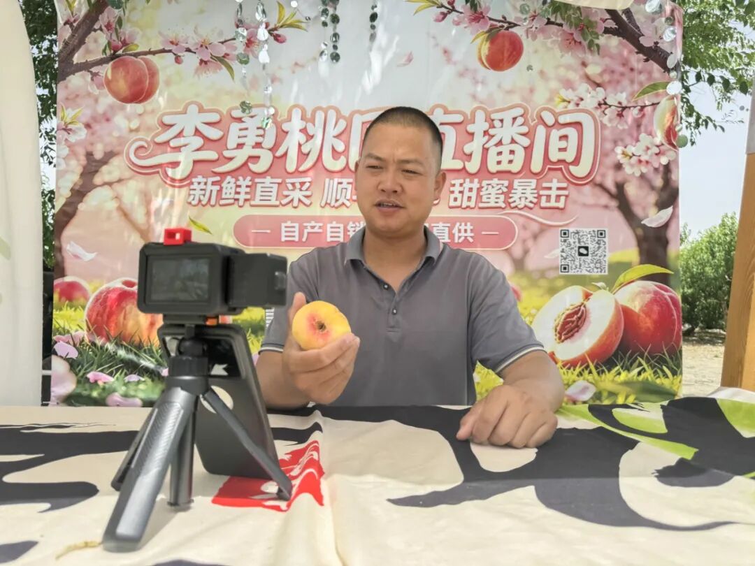 这个团场,把戈壁滩种成了飘香全国的“花果山” 林间直播间里推介声此起彼伏.jpg