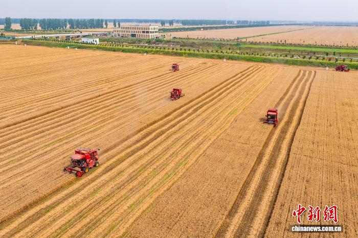 年中盘点:中国粮食生产经受极端天气考验