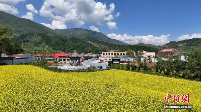 黄土塬乡村“变形记”:草棚土屋变花园 乡土生金有良方