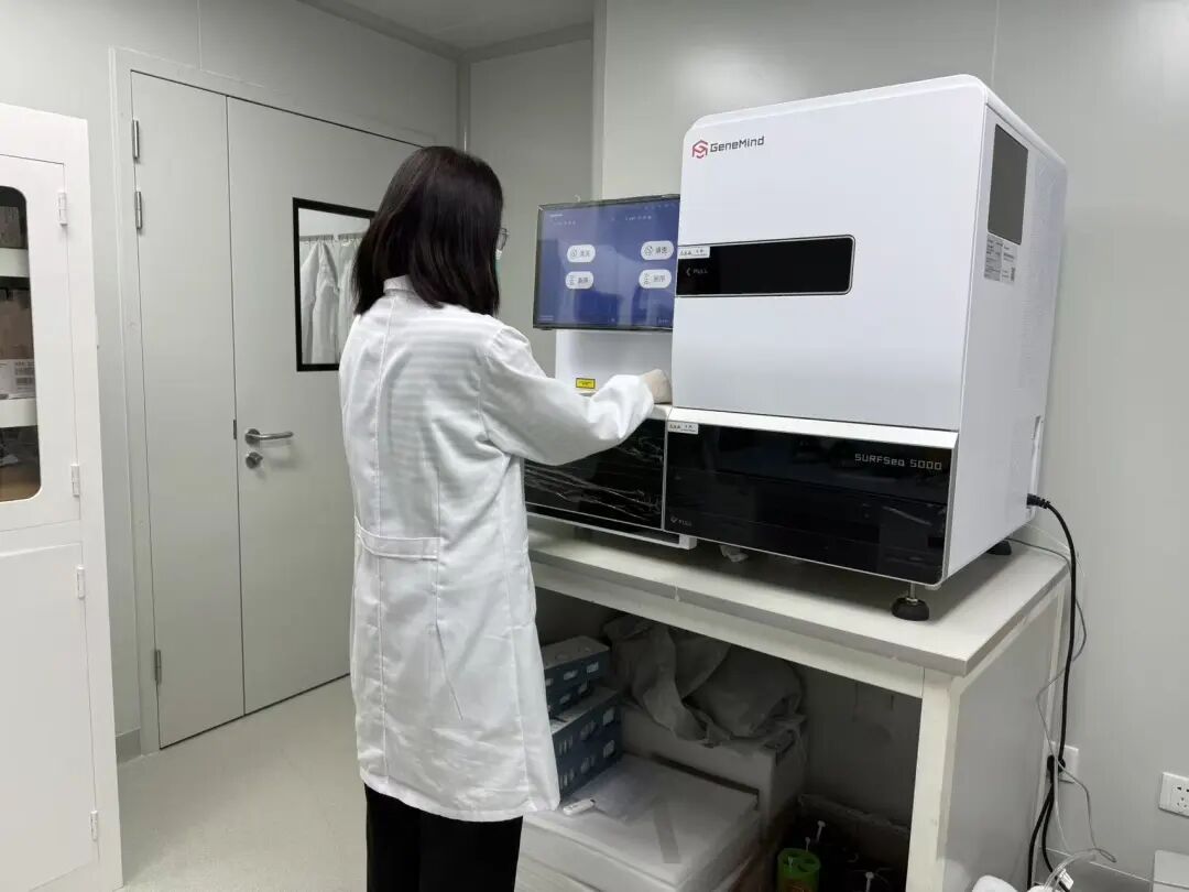 百万级基因位点实证:新疆牧羊犬有了“中国籍”科学身份证